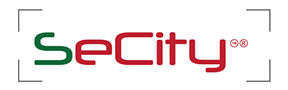 Systems Electronic City Logo